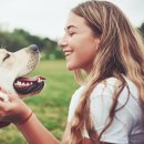 행복한 강아지 이미지