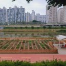 금천농장 이미지