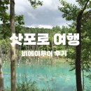 하이웨이네트 | 8월 삿포로 여행 한 그릇 북해도 비에이투어 후기