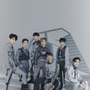브이 티브이데일리