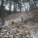 장원초교 이미지