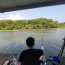 봉재 낚시터 | [부부낚시] 충남 아산 봉재낚시터 소형좌대 1박 후기