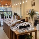 대전도안초등학교 | 대전 파충류샵 낭게코 도안점 아이와 함께 가기 좋은 도안동 이색 데이트 추천 후기