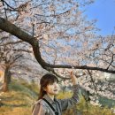 성내천 닭발