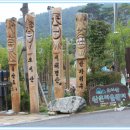 오서산사슴목장 이미지