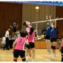 강진여자중학교 이미지