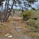 행보키꽃차 | 태안 바닷가 캠핑장 추천 조용하고 힐링되는 굼벵이 캠핑장(루프탑O, 차박O)