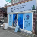창원스킨스쿠버/창원스쿠버다이빙 “마린버블다이브” 오픈워터 자격증 교육 초보자도 완전 가능!