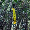 학현산성 이미지