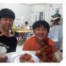 다민목장 Daum카페