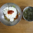 공양 Daum카페