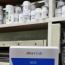 김온누리약국 이미지