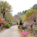 천국나무농원 이미지