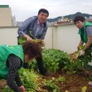 풍향동 행정복지센터 이미지