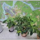 평택이룸공인중개사사무소 이미지