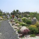 아산온천로 이미지