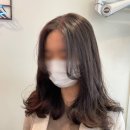 디벌션(Diversion) 이미지