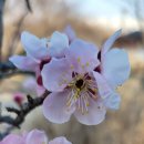 (주)사주나라 이미지