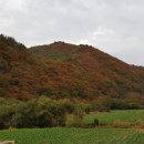 평화1리 이미지