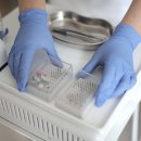 파티마 요양병원 이미지