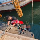 제주항구 이미지