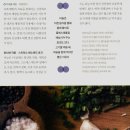 최강푸드 이미지