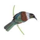 보성체육공원운동장 이미지