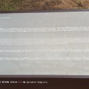 제주 올레길 20코스 이미지