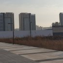엘타워약국 네이버블로그