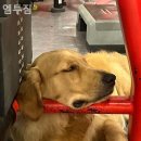 엠투짐 | 평창동헬스장 엠투짐 헬스장 복장