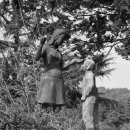 대서서초등학교 이미지