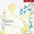 레몬트리 - 포항시 남구 냉천로302번길 56 | 레몬트리