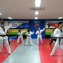 한양대 탑 태권도 이미지