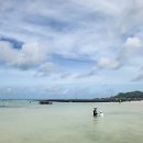 하도하도1929 이미지