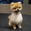 마스터그루밍클럽 이미지