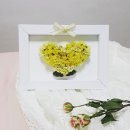 드라이21 이미지