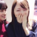 모모코