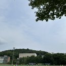 스컬독 | 무더위 강추 꿀템! 스컬독 얼음주머니🧊 내돈내산 리얼후기