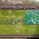 광양 옥룡사지 이미지