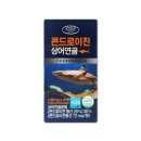 에버그린 이미지