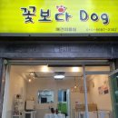 꽃보다 Dog 이미지