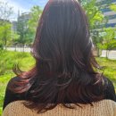 헤어매니아 | 별내 미용실 에이솝헤어 레드염색후기 소유디자이너