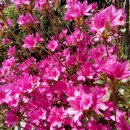 혜원민박 이미지