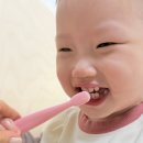 태리약국 | 아기칫솔 추천, 돌아기칫솔 첫칫솔 고민이라면 브리스틱 유아칫솔 핑크밤 1단계 후기