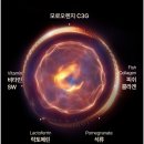 오렌지 | 뮤르디 모로오렌지 효과, 부작용, 내돈내산후기, 가격