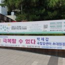 저단39 헤럴드경제