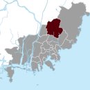 우리금정의원 티스토리