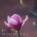 바음