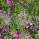 방아공원 이미지