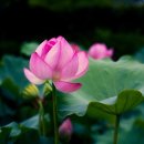 화성당 이미지